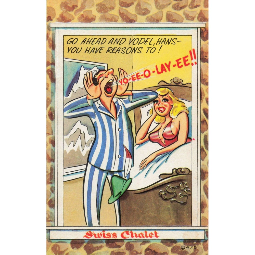 Vintage Noble Humor Cards Swiss Chalet Yodel Comic Postcard 439 - Picture 1 of 2